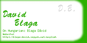david blaga business card